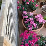 בית נופש La Casa De Luna Lunera קורדובה