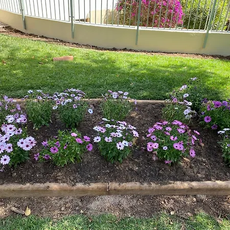 La Casa De Luna Lunera * Kordoba