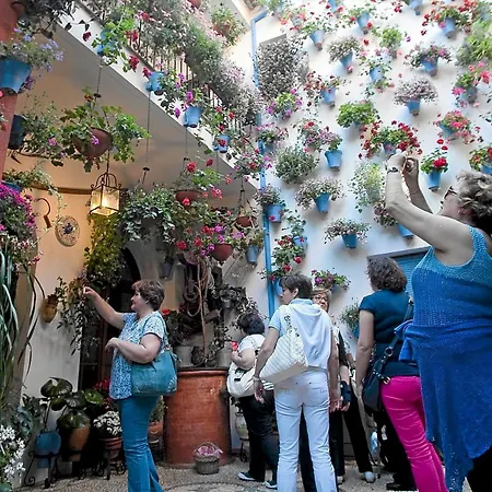 Luna Lunera Будинок відпочинку Кордова