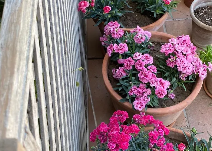 Vakantiehuis Casa Luna Lunera Córdoba